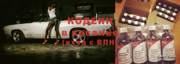 прущие грибы Беломорск