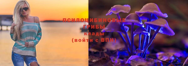 не бодяженный Белокуриха