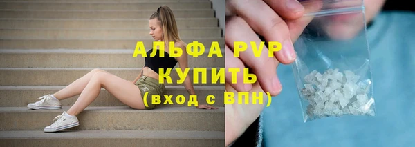 прущие грибы Беломорск