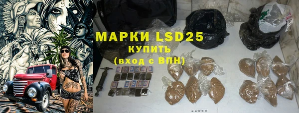 прущие грибы Беломорск