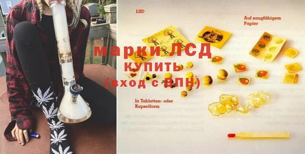прущие грибы Беломорск