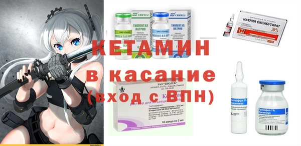 прущие грибы Беломорск