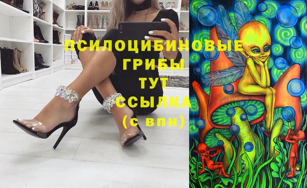 не бодяженный Белокуриха