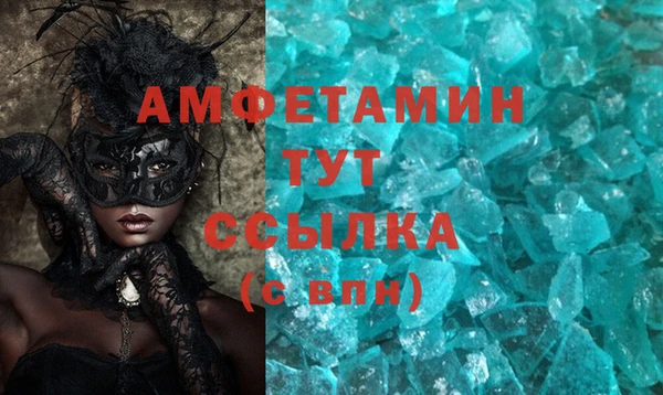 прущие грибы Беломорск
