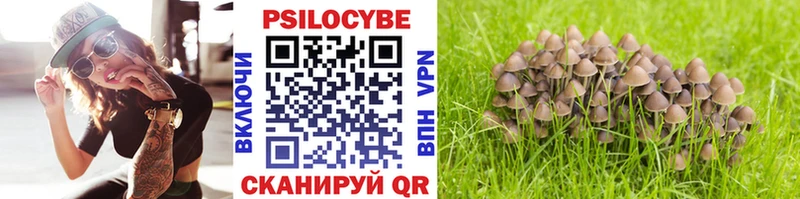 Галлюциногенные грибы Cubensis OMG ONION Емва